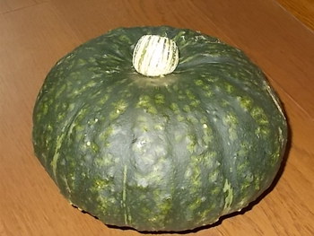 野菜くず置き場のカボチャ