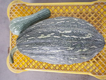 万次郎かぼちゃ（5kg）の収穫