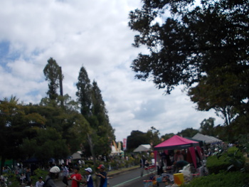 運動公園　秋のフリーマーケットフェスタ2015