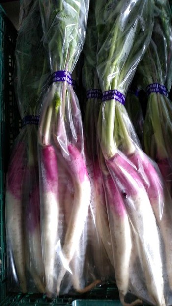 日野菜の収穫＆出荷