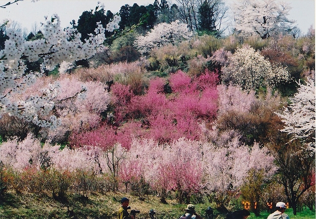 もうすぐ復帰か