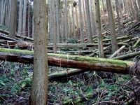 ご近所の山の会