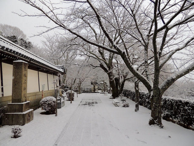 漸く湖東三山・雪景色