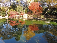 沖縄への旅