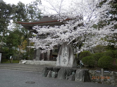雨の三井寺界隈、　文化ゾーンにて