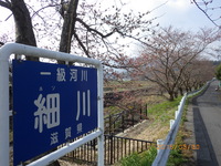 希望が丘公園での散歩