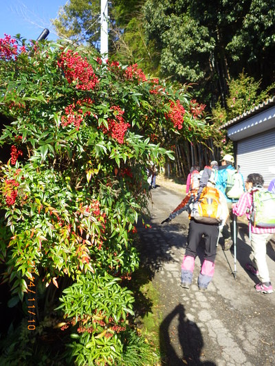 今日の比叡山