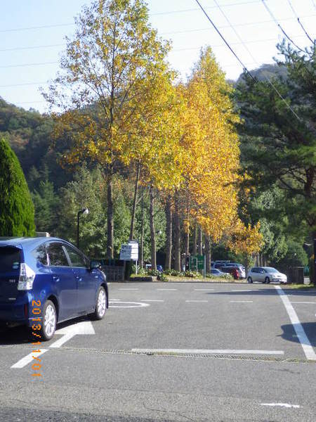 希望が丘の秋色