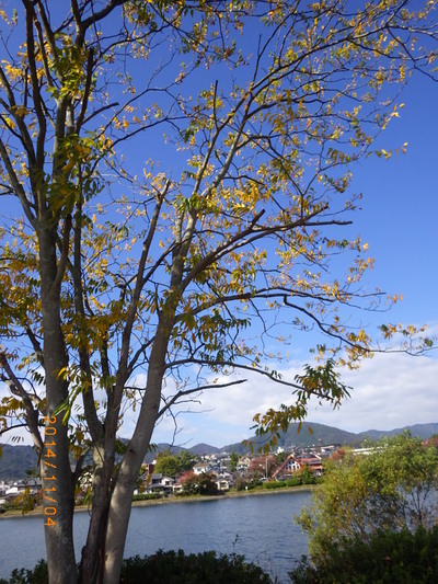 瀬田川　河畔チャリ行