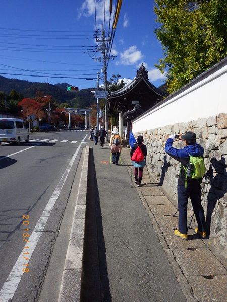 １１月　琵琶イチ　ウオーク