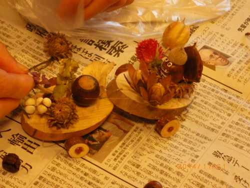 大津環境フォーラム　観察会
