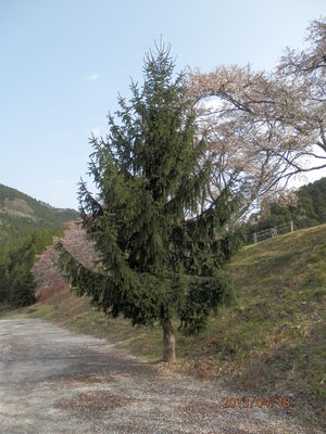 甲賀市、土山町