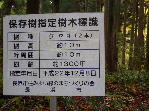 11月16日　 菅山寺