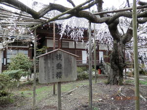 山科　毘沙門堂門跡