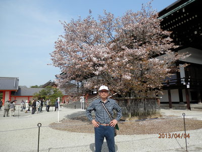御所　春の一般公開