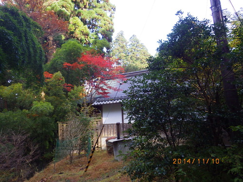 今日の比叡山