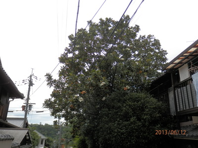 大文字山