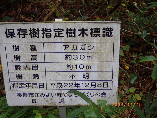 11月16日　 菅山寺