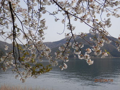 山門水源の森、海津大崎