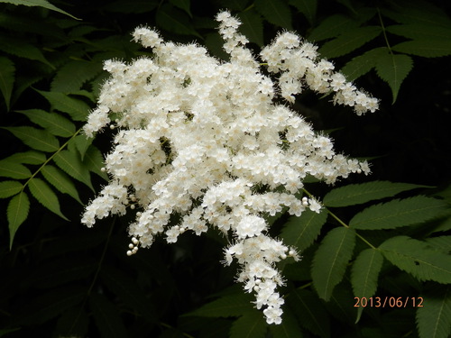 大文字山