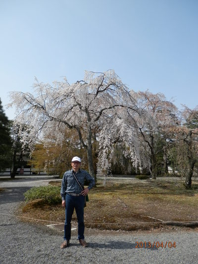 御所　春の一般公開