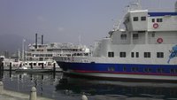 真夏の花   其の3