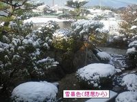 寒かった