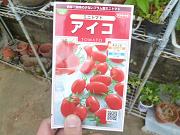今年はアイコ