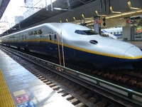 クリスマスカップ登場です