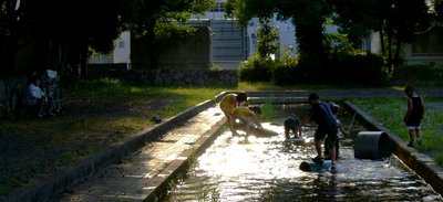 夜の帳（とばり）が下りる前