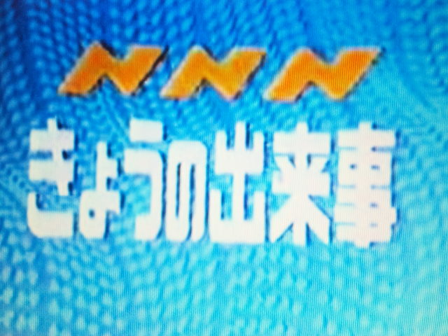 うさぎいぬの読むテレビ 今日の出来事 6月14日 手羽先記念日