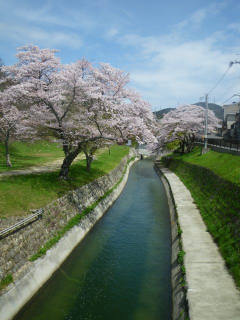 三井寺から琵琶湖疏水を通って山科まで