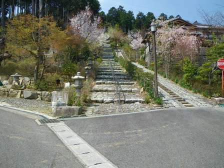 ケーブル坂本駅付近から比叡山延暦寺まで