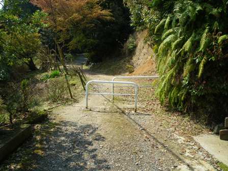 ケーブル坂本駅付近から比叡山延暦寺まで