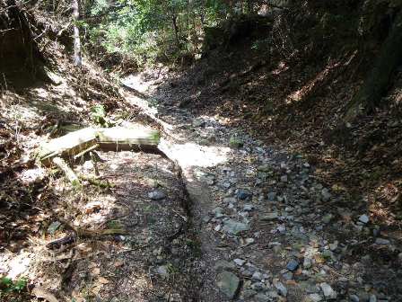 ケーブル坂本駅付近から比叡山延暦寺まで