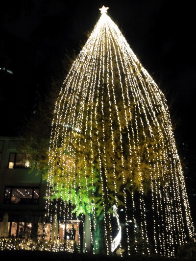 2011クリスマスイルミネーション