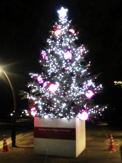 2011クリスマスイルミネーション