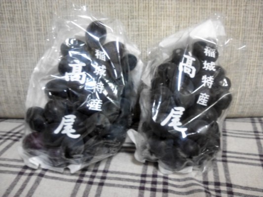 稲城特産ぶどう「高尾」いただきました