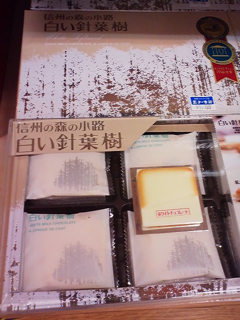 白い針葉樹