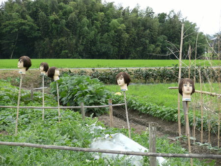さらし首！？