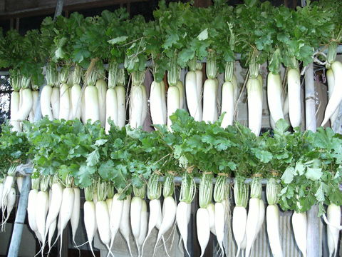 大根干し