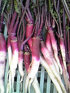 日野菜のお料理
