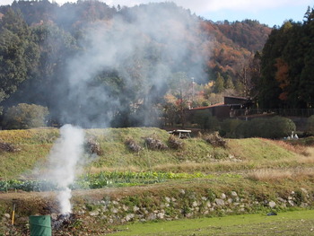 京野菜　in　修学院