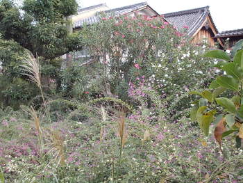 萩のお寺　常林寺