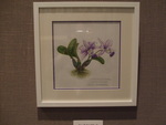 ボタニカルアート展