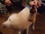 今夜はクリスマスイヴ
