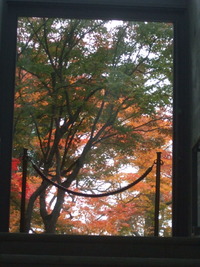 Autmn live in　20の7番地