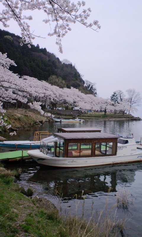 早いです…