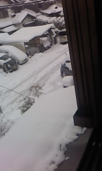 雪だ