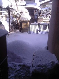 またしても